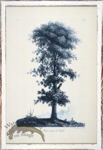 Blue Trees in Distressed White 08